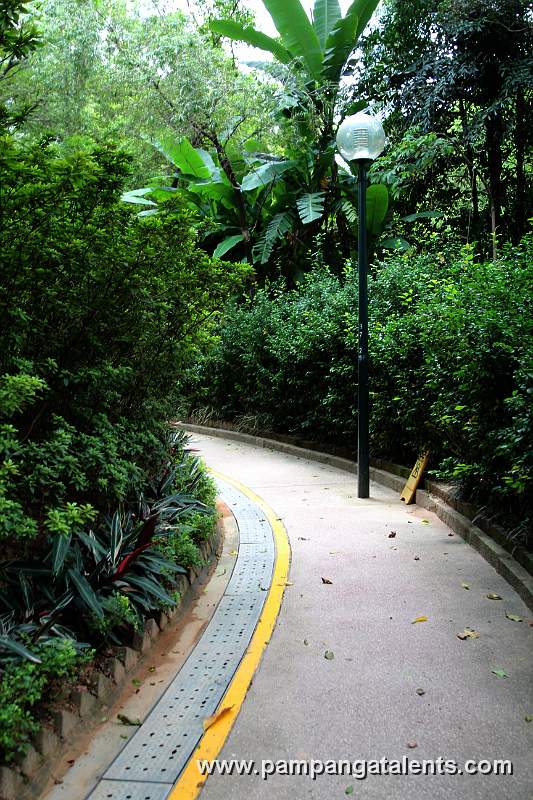 Jogging route