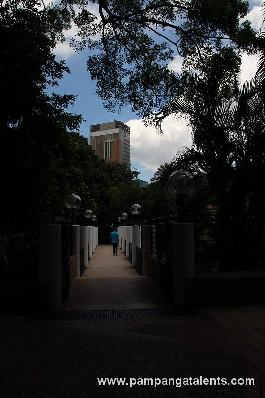 Footbridge over Bird Lake