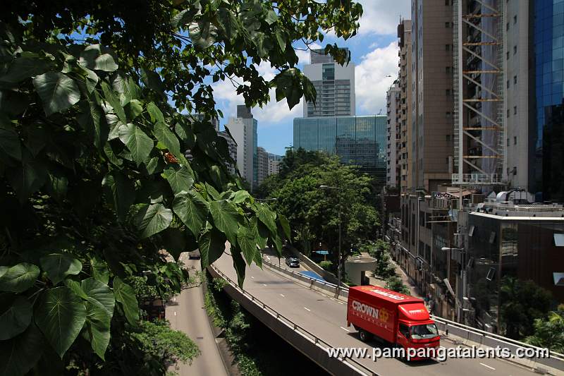 Kowloon Park Dr.