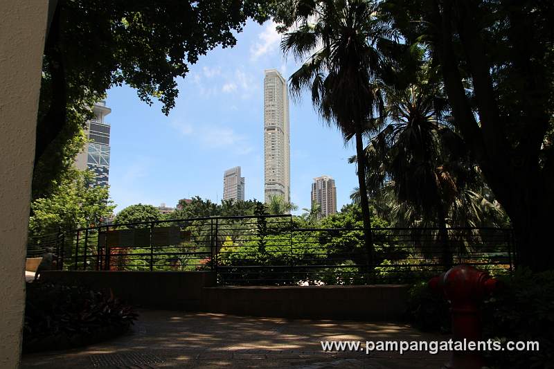 View on the Hyatt Regency Hong Kong Hotel