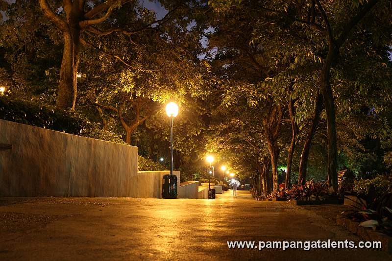 Kowloon Park at Night