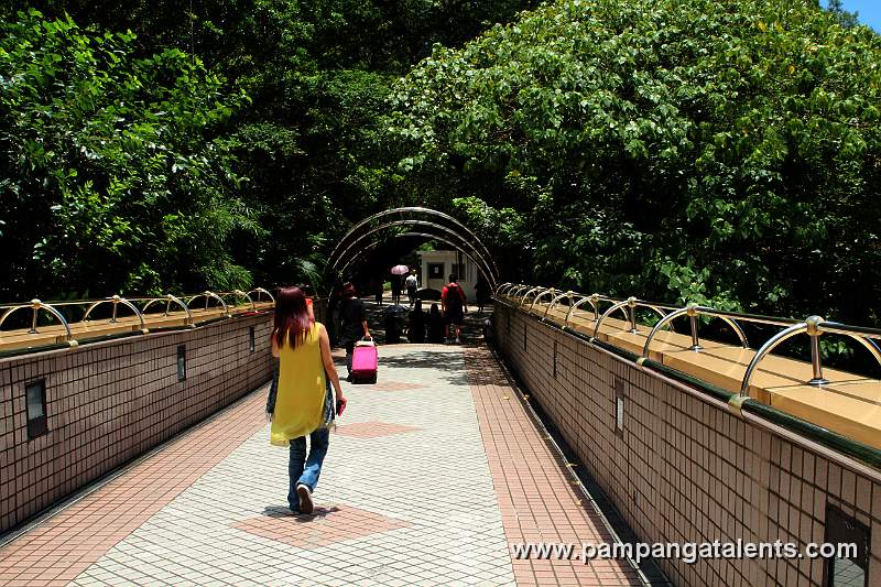 Kowloon Park Footbridge China HK City