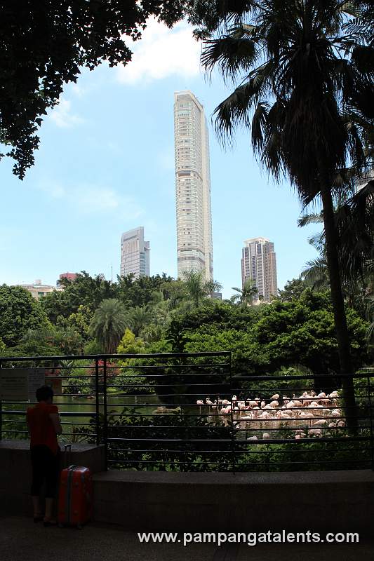 View on the Hyatt Regency Hong Kong Hotel behind Bird Lake