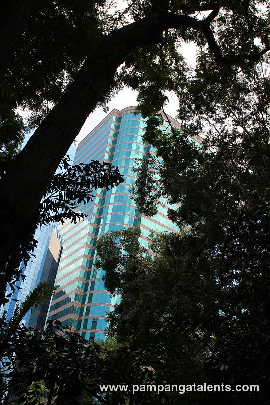 The Gateway Towers behind the Trees