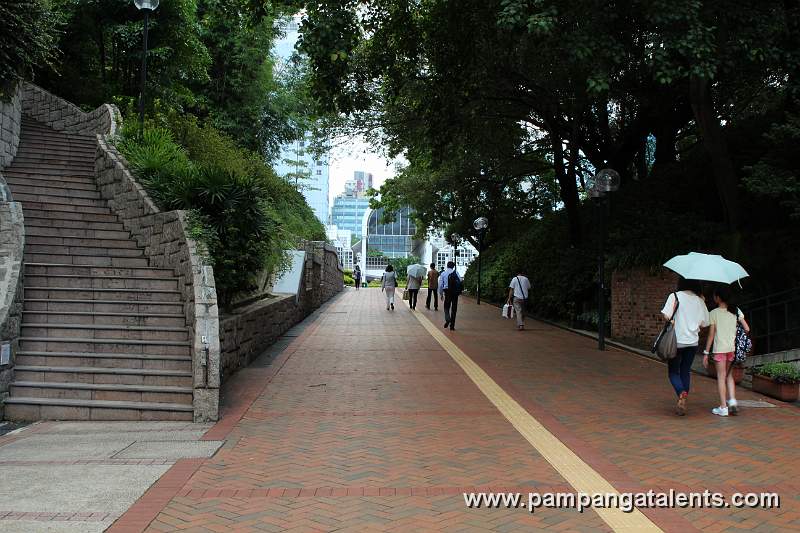 Main walking road through the Park