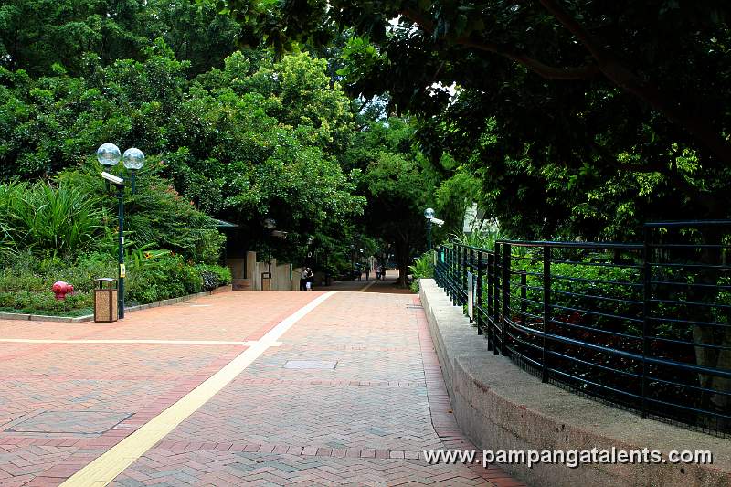 Main walking road through the Park