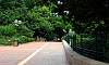 Main walking road through the Park  Location: Kowloon Park - Hong Kong