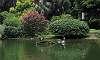 Bird Lake  Location: Kowloon Park Hong Kong