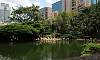 Flamingos in Bird Lake  Location: Kowloon Park - Hong Kong