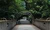 Kowool Park Footbridge China HK City  Location: kowloon Park - Hong Kong