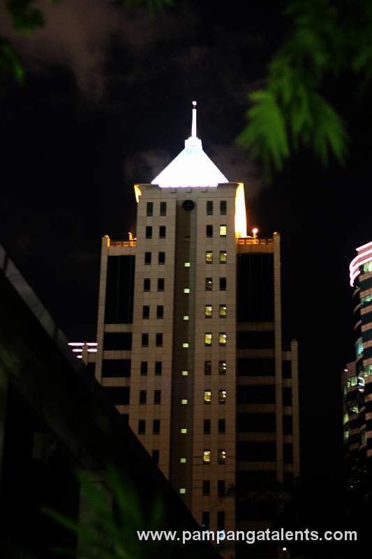 Kowloon Skyline 9